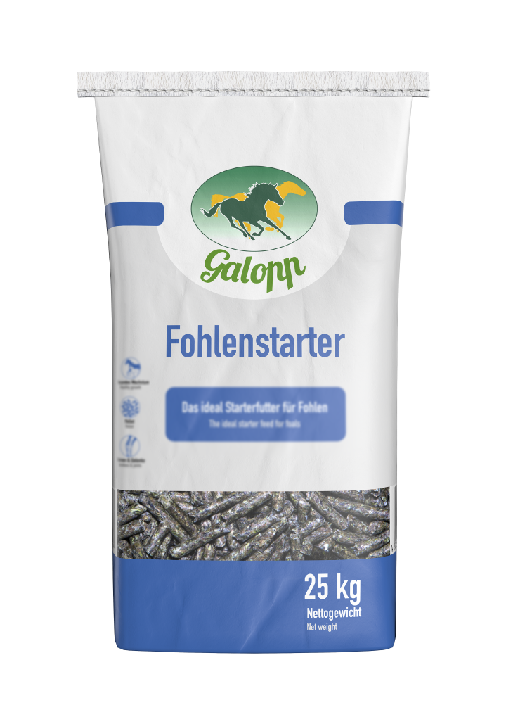 Galopp Fohlenstarter FS